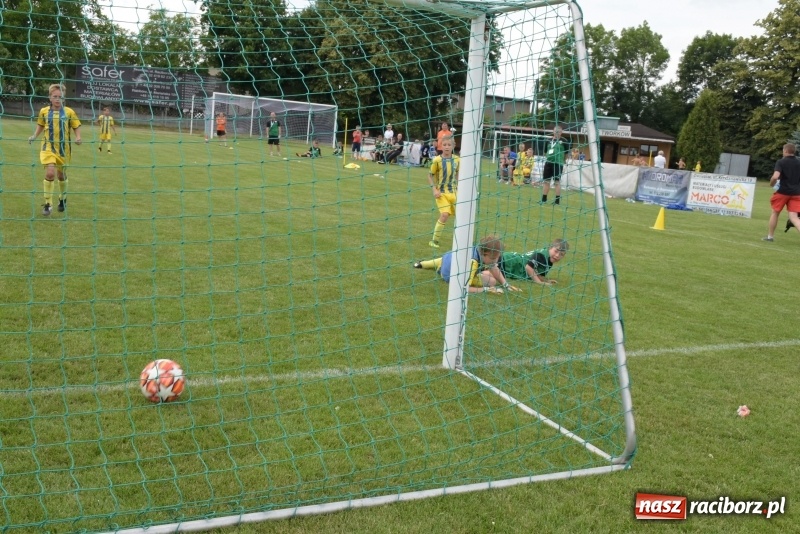 Zdjęcie w galerii na portalu naszraciborz.pl: Tworków Cup 2019. Zmagania rocznika 2009 wiadomości z regionu