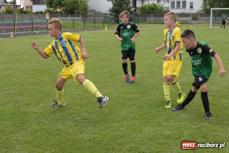 Zdjęcie w galerii na portalu naszraciborz.pl: Tworków Cup 2019. Zmagania rocznika 2009 wiadomości z regionu