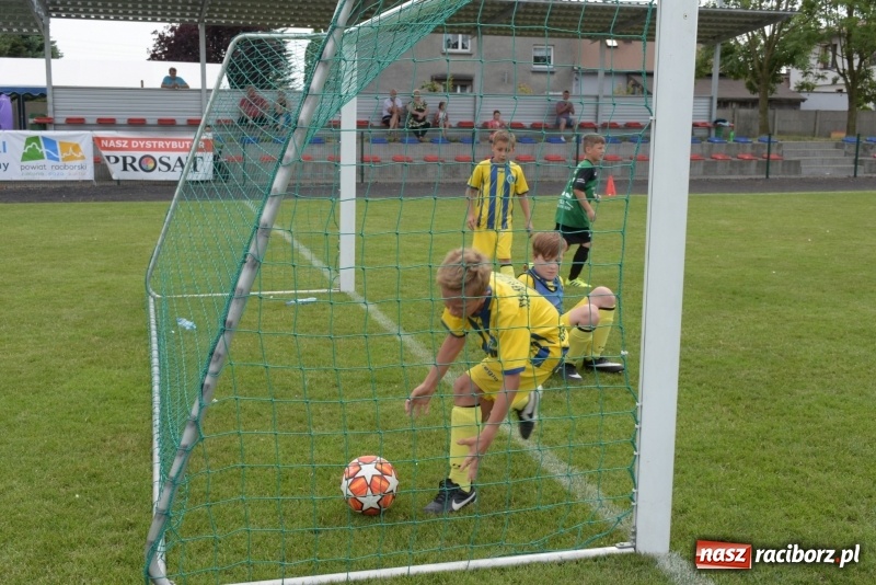 Zdjęcie w galerii na portalu naszraciborz.pl: Tworków Cup 2019. Zmagania rocznika 2009 wiadomości z regionu