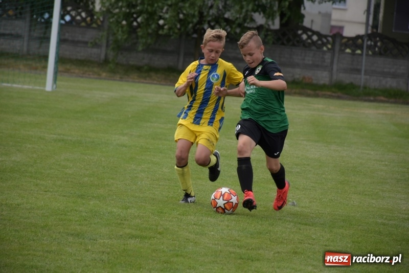 Zdjęcie w galerii na portalu naszraciborz.pl: Tworków Cup 2019. Zmagania rocznika 2009 wiadomości z regionu