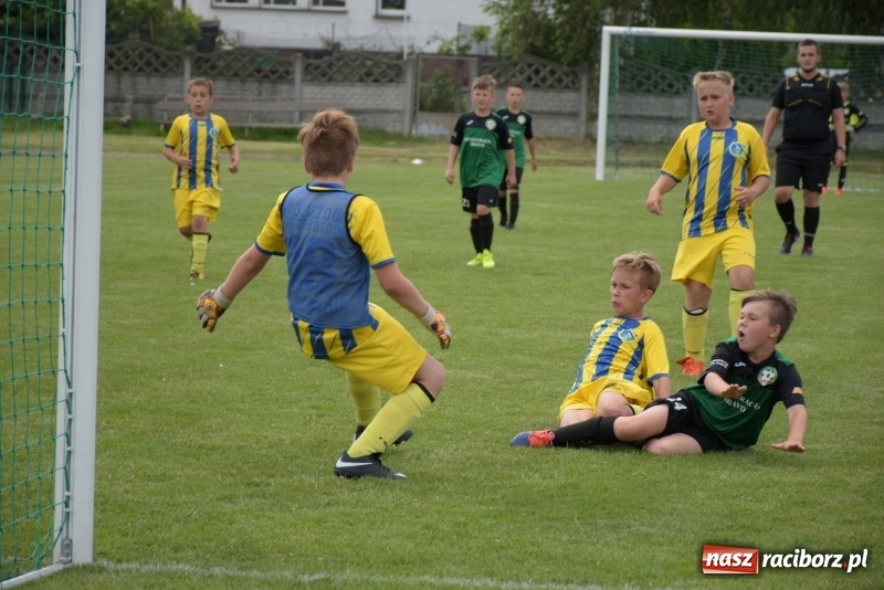 Zdjęcie w galerii na portalu naszraciborz.pl: Tworków Cup 2019. Zmagania rocznika 2009 wiadomości z regionu
