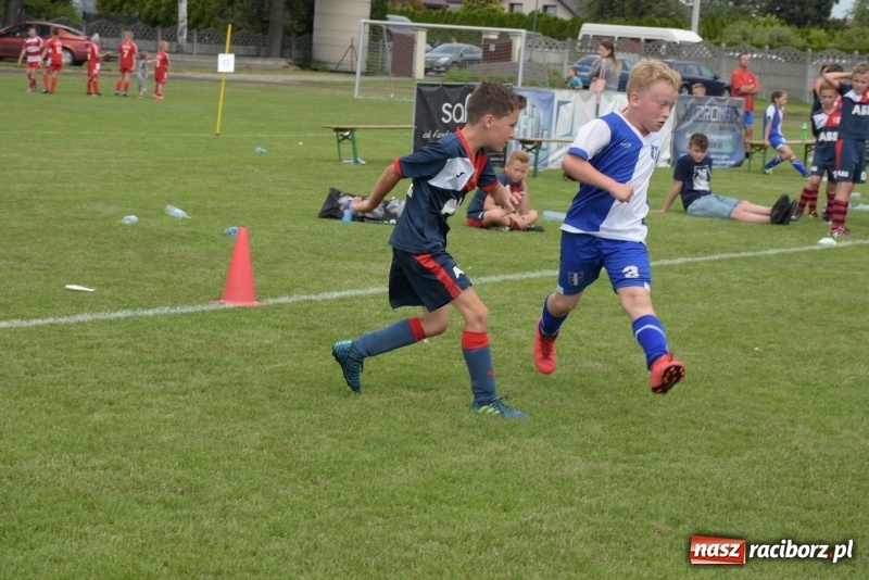 Zdjęcie w galerii na portalu naszraciborz.pl: Tworków Cup 2019. Zmagania rocznika 2009 wiadomości z regionu
