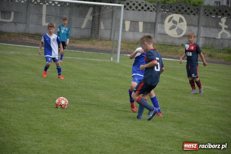 Zdjęcie w galerii na portalu naszraciborz.pl: Tworków Cup 2019. Zmagania rocznika 2009 wiadomości z regionu