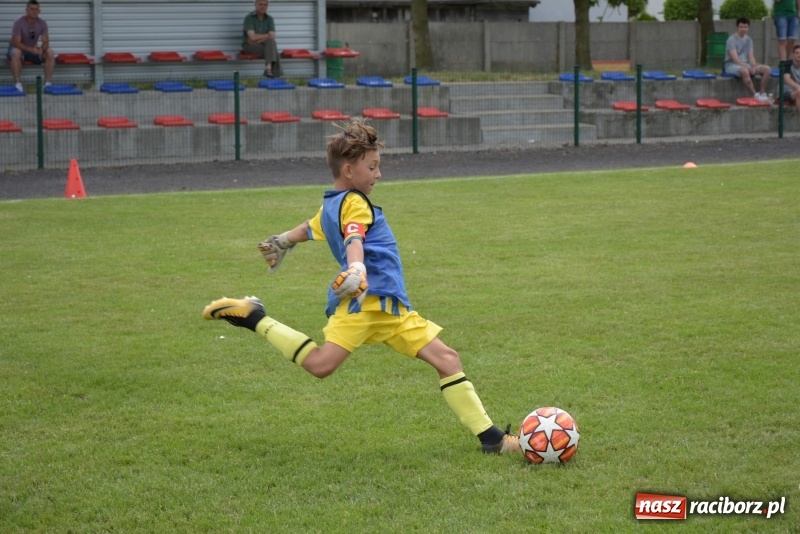 Zdjęcie w galerii na portalu naszraciborz.pl: Tworków Cup 2019. Zmagania rocznika 2009 wiadomości z regionu