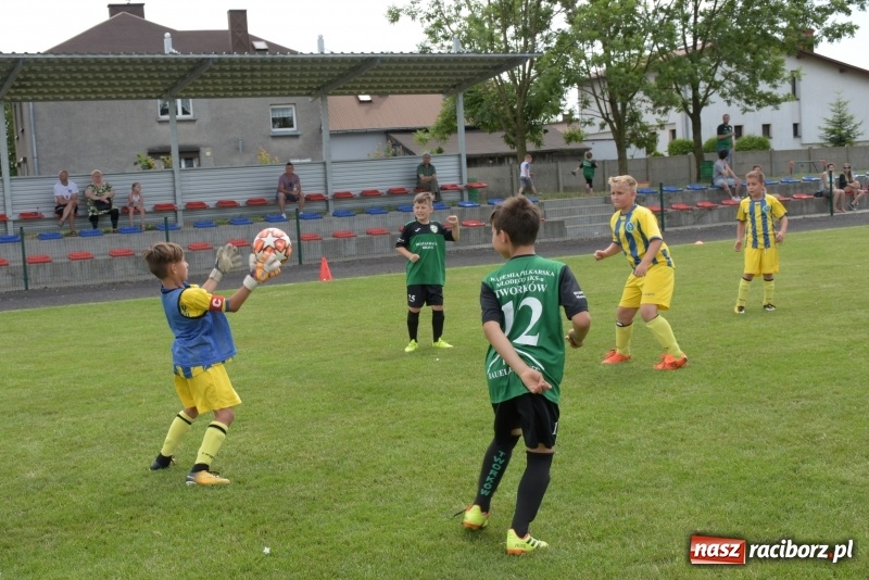 Zdjęcie w galerii na portalu naszraciborz.pl: Tworków Cup 2019. Zmagania rocznika 2009 wiadomości z regionu