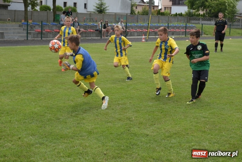Zdjęcie w galerii na portalu naszraciborz.pl: Tworków Cup 2019. Zmagania rocznika 2009 wiadomości z regionu
