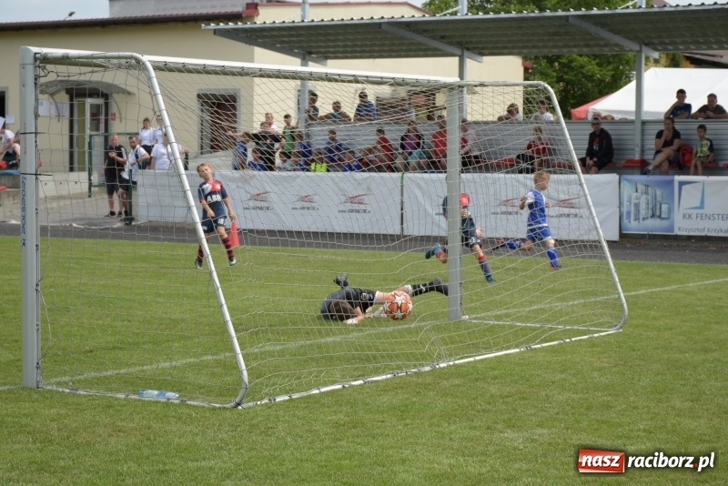 Zdjęcie w galerii na portalu naszraciborz.pl: Tworków Cup 2019. Zmagania rocznika 2009 wiadomości z regionu