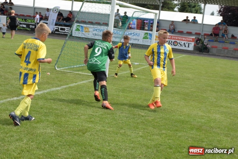 Zdjęcie w galerii na portalu naszraciborz.pl: Tworków Cup 2019. Zmagania rocznika 2009 wiadomości z regionu