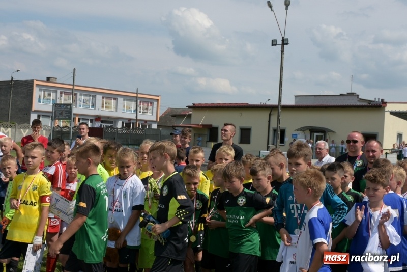 Zdjęcie w galerii na portalu naszraciborz.pl: Tworków Cup 2019. Zmagania rocznika 2009 wiadomości z regionu