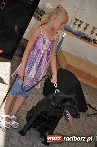 Zdjęcie w galerii na portalu naszraciborz.pl: Rafako najlepsze na Płoni wiadomości z regionu