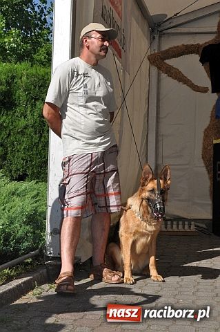 Zdjęcie w galerii na portalu naszraciborz.pl: Rafako najlepsze na Płoni wiadomości z regionu