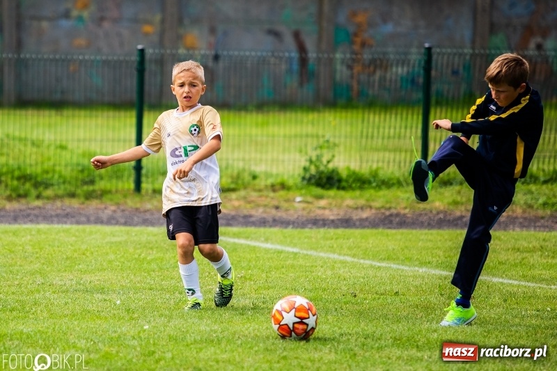 Zdjęcie w galerii na portalu naszraciborz.pl: Tworków Cup 2019. Zmagania rocznika 2010 wiadomości z regionu