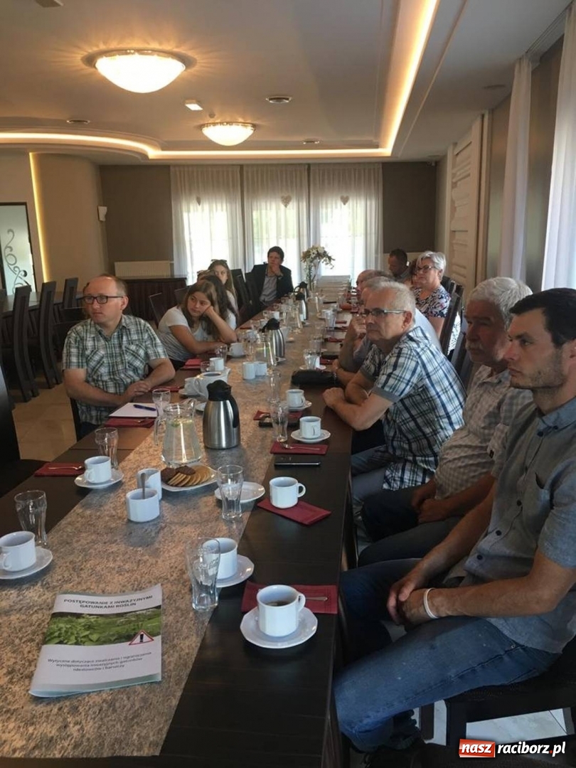 Zdjęcie w galerii na portalu naszraciborz.pl: Powstały mapy gatunków inwazyjnych na pograniczu  wiadomości z regionu