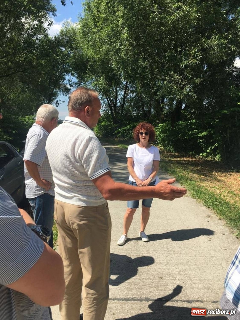 Zdjęcie w galerii na portalu naszraciborz.pl: Powstały mapy gatunków inwazyjnych na pograniczu  wiadomości z regionu