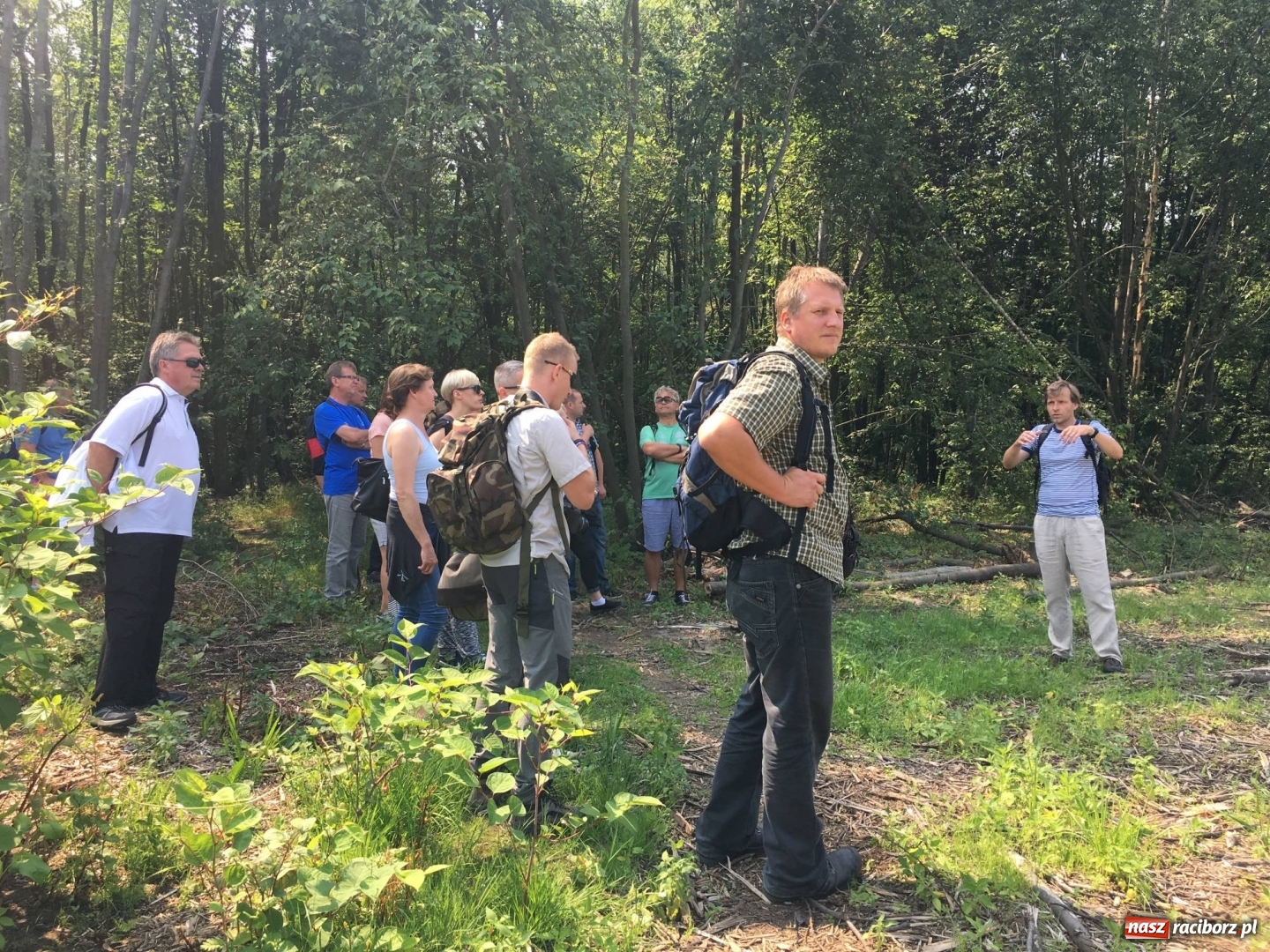 Zdjęcie w galerii na portalu naszraciborz.pl: Powstały mapy gatunków inwazyjnych na pograniczu  wiadomości z regionu