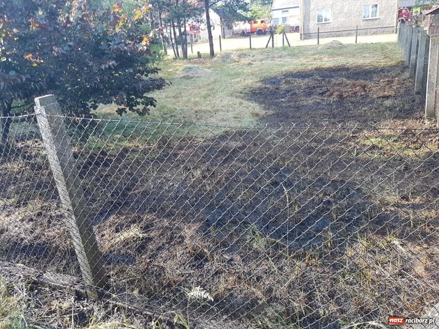 Zdjęcie w galerii na portalu naszraciborz.pl: Otwarcie domu w Raszczycach i pożar ściółki leśnej w Górkach Śląskich. Wtorek raciborskich strażaków wiadomości z regionu