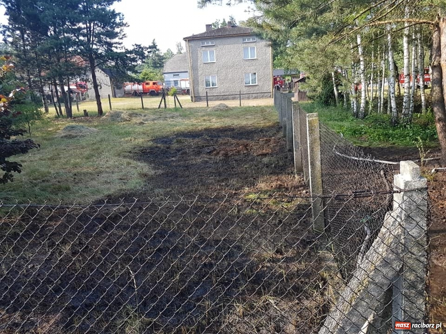 Zdjęcie w galerii na portalu naszraciborz.pl: Otwarcie domu w Raszczycach i pożar ściółki leśnej w Górkach Śląskich. Wtorek raciborskich strażaków wiadomości z regionu