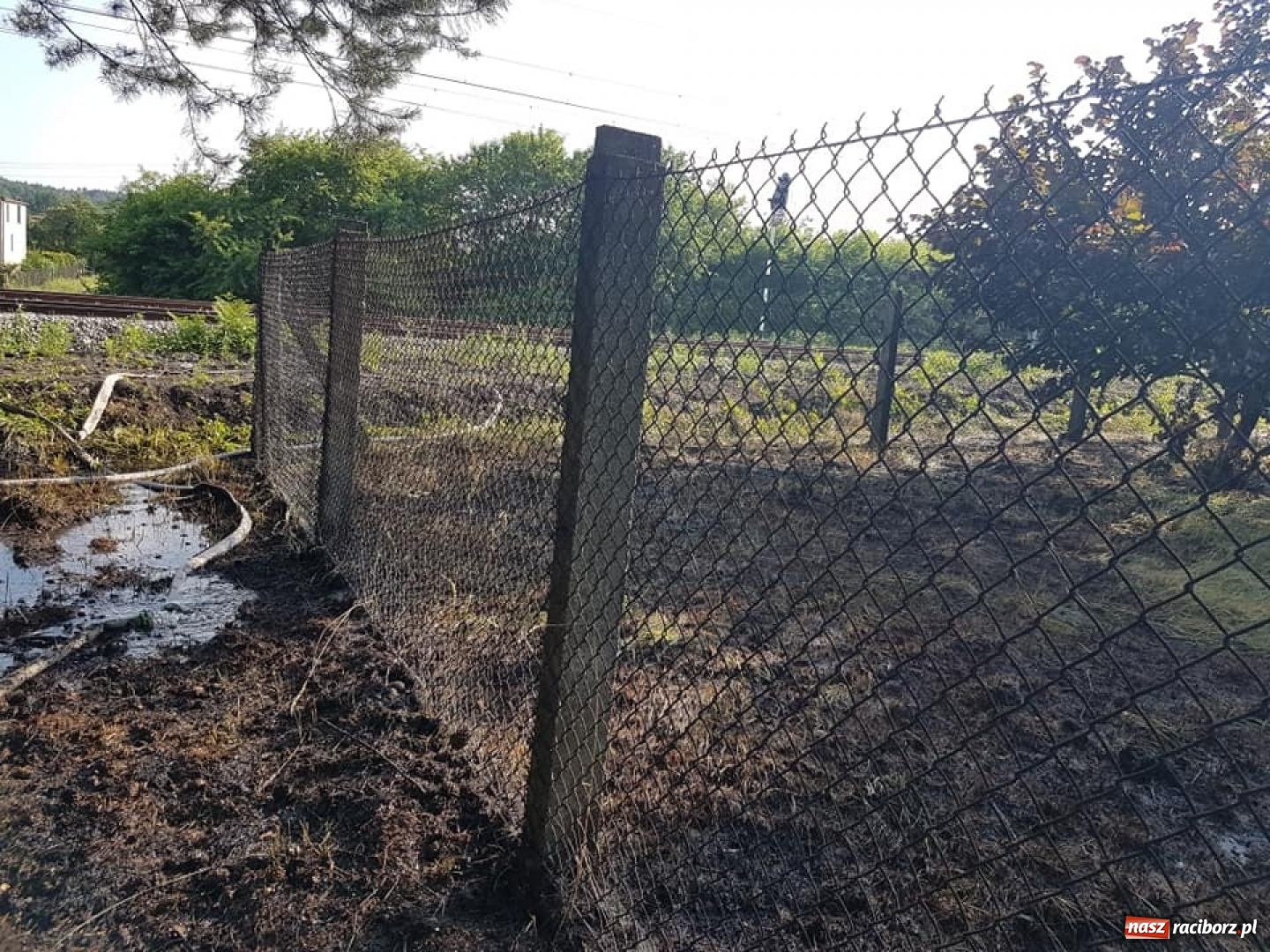 Zdjęcie w galerii na portalu naszraciborz.pl: Otwarcie domu w Raszczycach i pożar ściółki leśnej w Górkach Śląskich. Wtorek raciborskich strażaków wiadomości z regionu