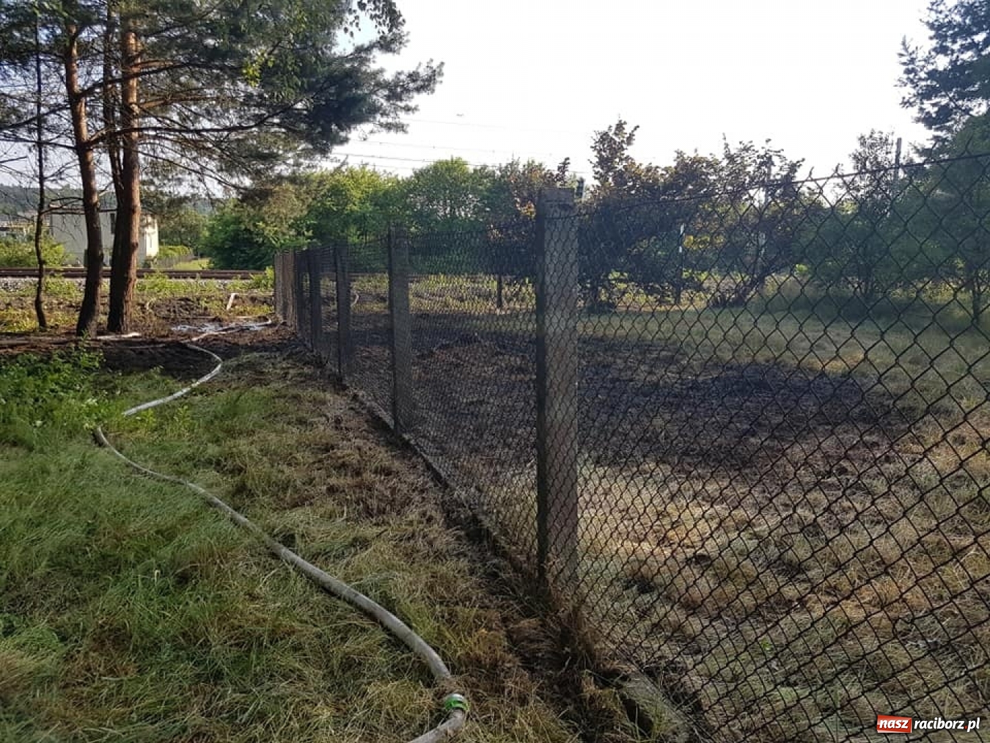 Zdjęcie w galerii na portalu naszraciborz.pl: Otwarcie domu w Raszczycach i pożar ściółki leśnej w Górkach Śląskich. Wtorek raciborskich strażaków wiadomości z regionu