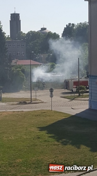 Zdjęcie w galerii na portalu naszraciborz.pl: Dym nad Opawską. Pożar altanki przy Bukowej  wiadomości z regionu