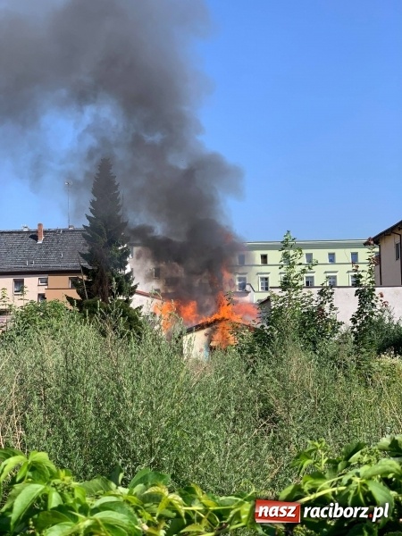 Zdjęcie w galerii na portalu naszraciborz.pl: Dym nad Opawską. Pożar altanki przy Bukowej  wiadomości z regionu