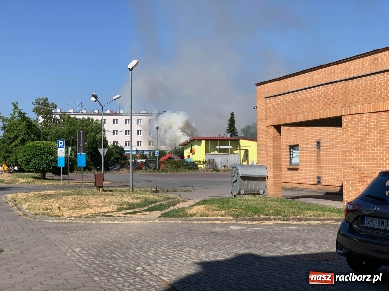 Zdjęcie w galerii na portalu naszraciborz.pl: Dym nad Opawską. Pożar altanki przy Bukowej  wiadomości z regionu