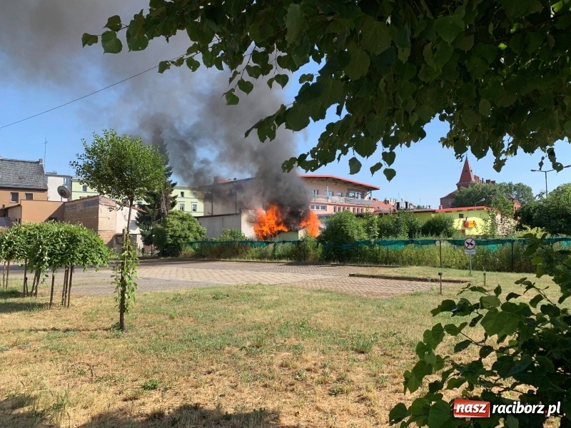 Zdjęcie w galerii na portalu naszraciborz.pl: Dym nad Opawską. Pożar altanki przy Bukowej  wiadomości z regionu