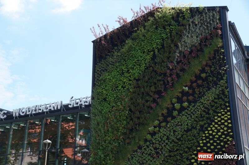 Zdjęcie w galerii na portalu naszraciborz.pl: Sąsiedzi poradzili sobie z dworcem [FOTO] wiadomości z regionu