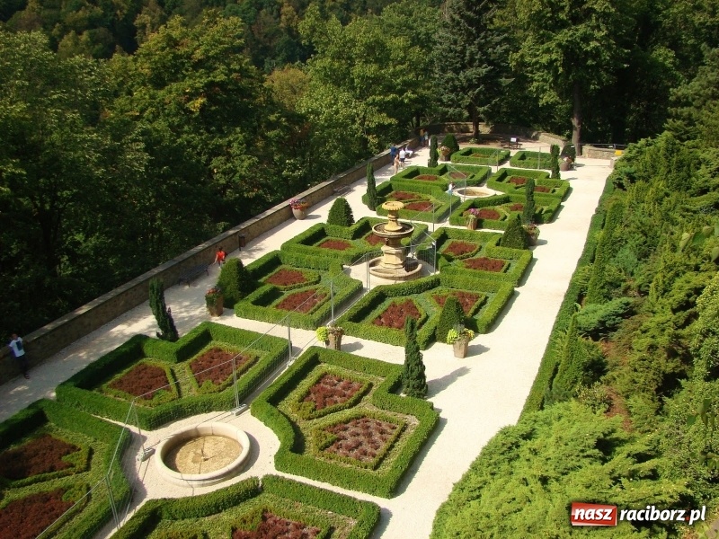 Zdjęcie w galerii na portalu naszraciborz.pl: Tajemnice Gór Sowich – odkryj magię tego, co dotychczas nieznane… wiadomości z regionu