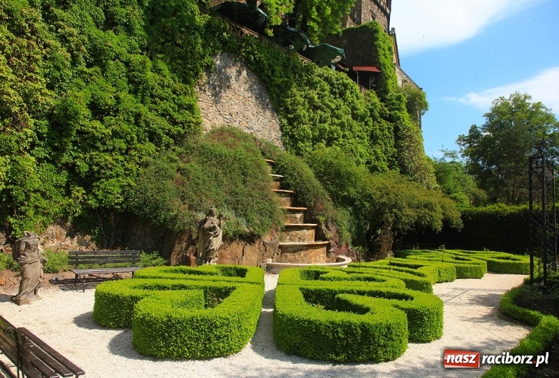 Zdjęcie w galerii na portalu naszraciborz.pl: Tajemnice Gór Sowich – odkryj magię tego, co dotychczas nieznane… wiadomości z regionu