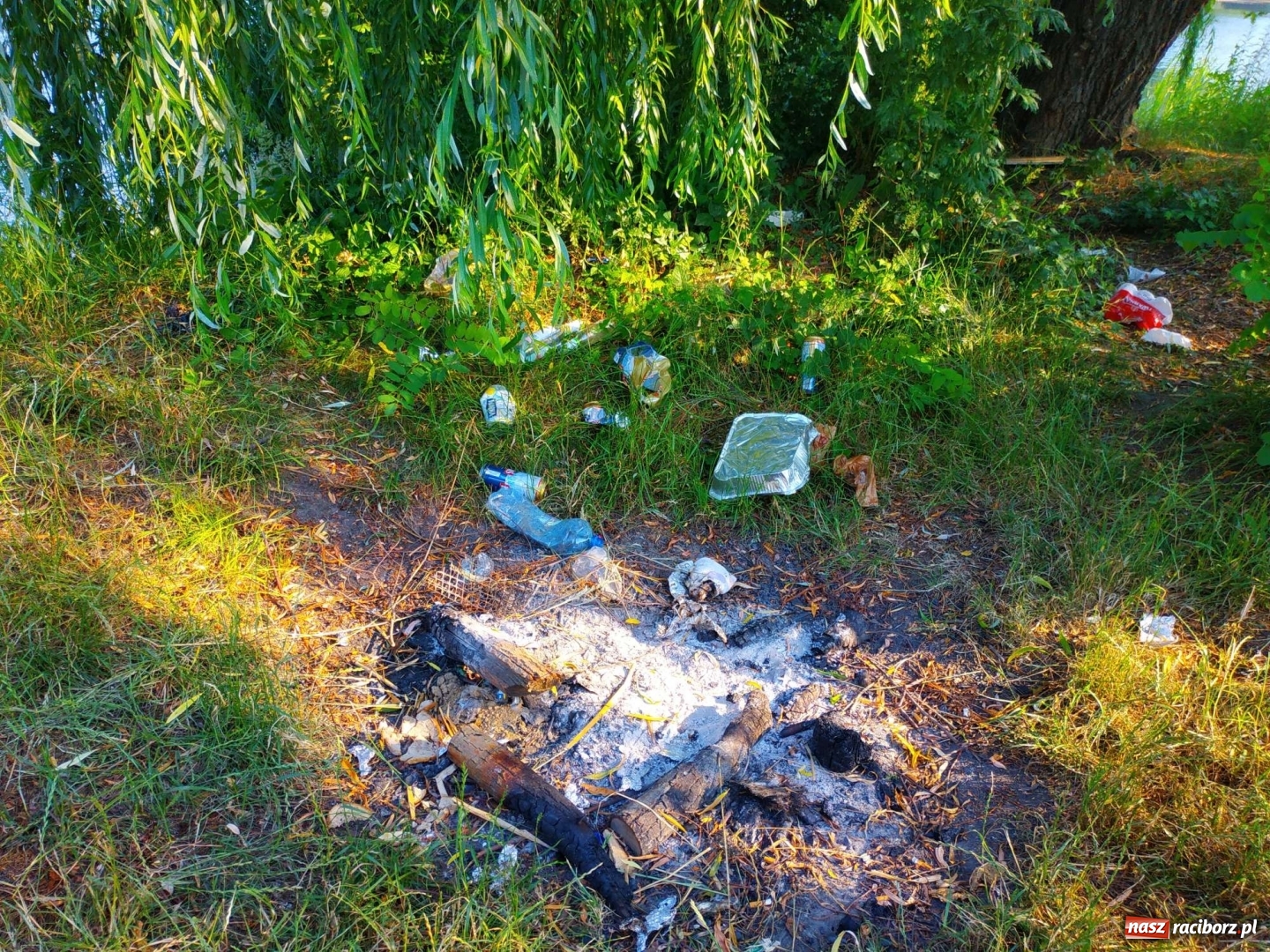 Zdjęcie w galerii na portalu naszraciborz.pl: Jeden wielki SYF. Żwirownia tonie w śmieciach [FOTO] wiadomości z regionu