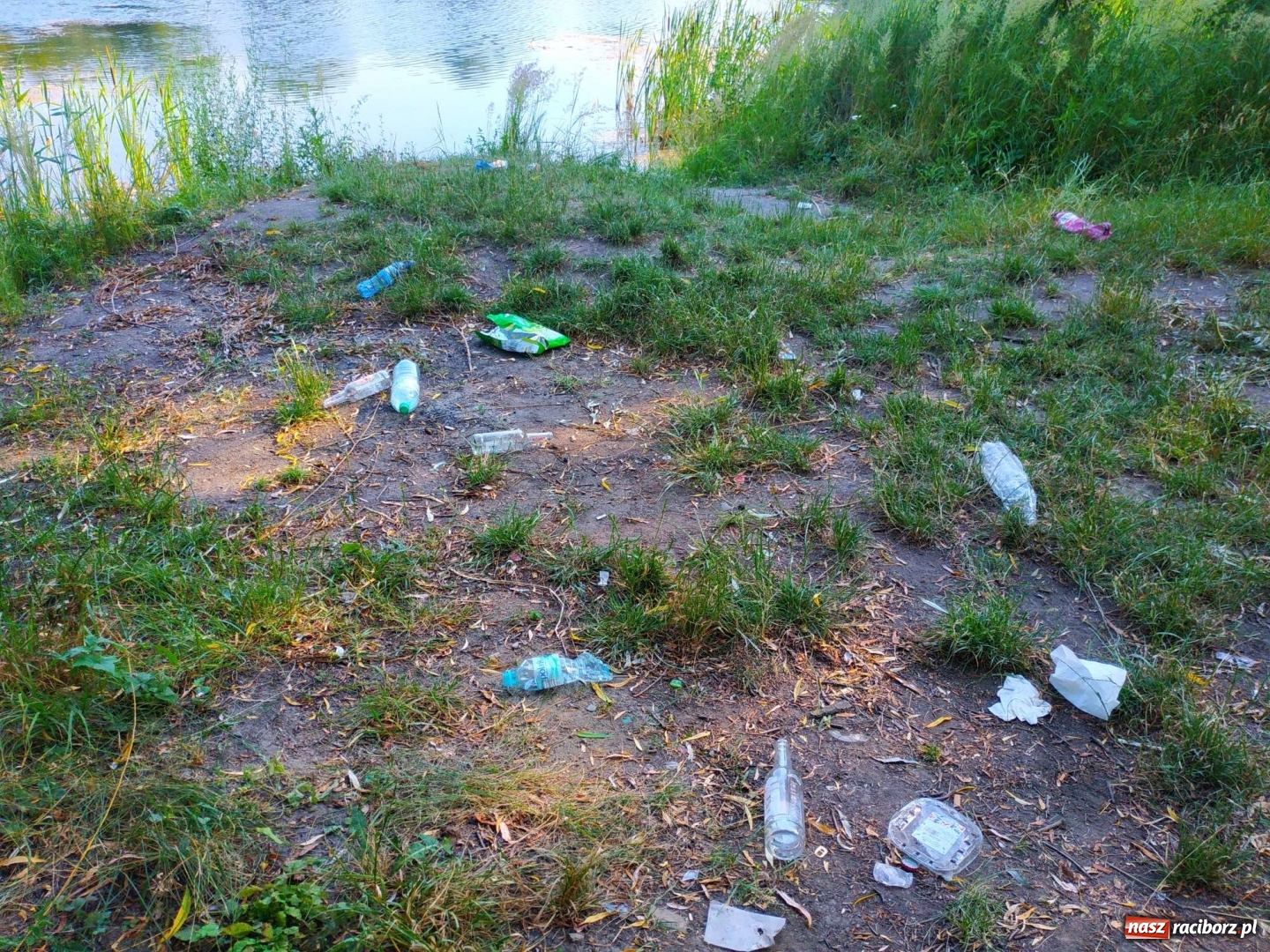 Zdjęcie w galerii na portalu naszraciborz.pl: Jeden wielki SYF. Żwirownia tonie w śmieciach [FOTO] wiadomości z regionu