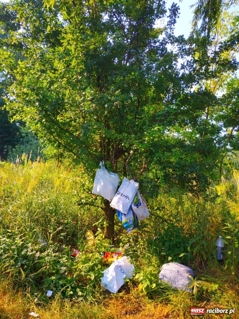Zdjęcie w galerii na portalu naszraciborz.pl: Jeden wielki SYF. Żwirownia tonie w śmieciach [FOTO] wiadomości z regionu