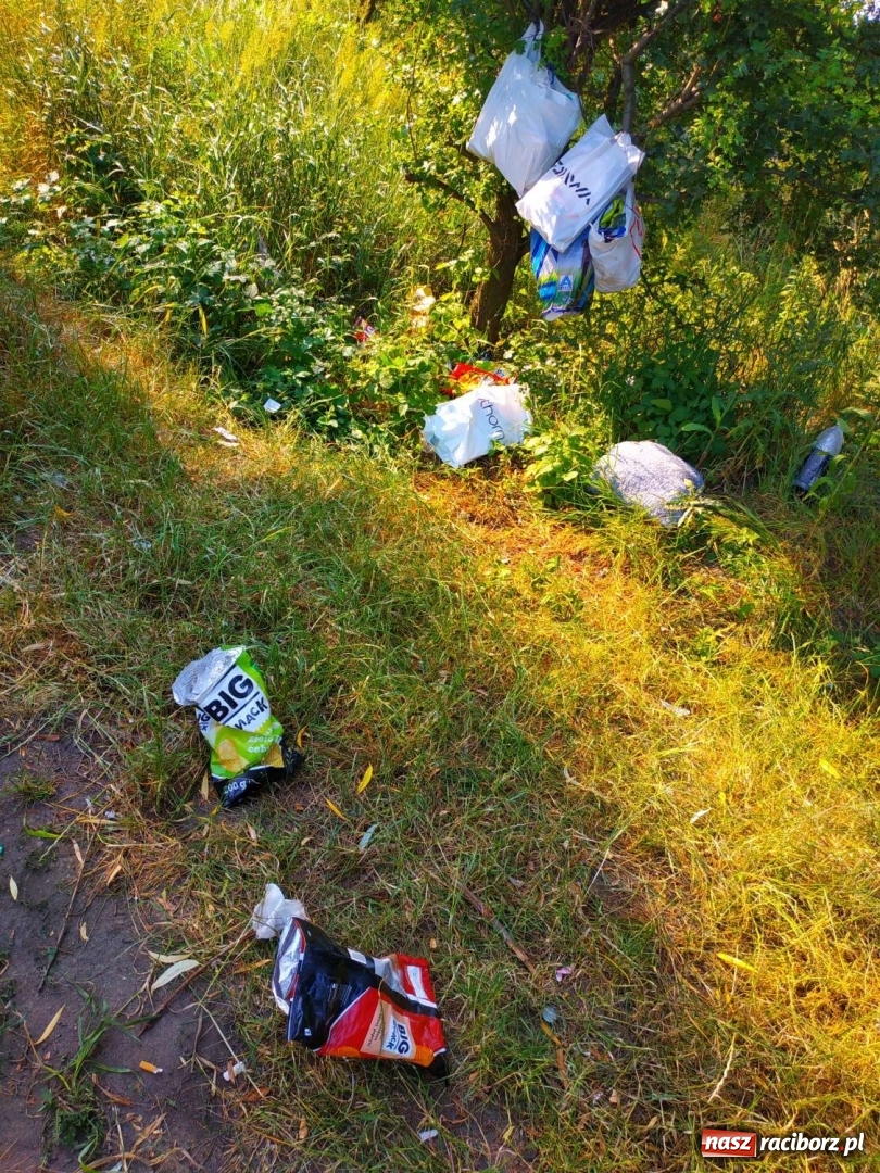 Zdjęcie w galerii na portalu naszraciborz.pl: Jeden wielki SYF. Żwirownia tonie w śmieciach [FOTO] wiadomości z regionu