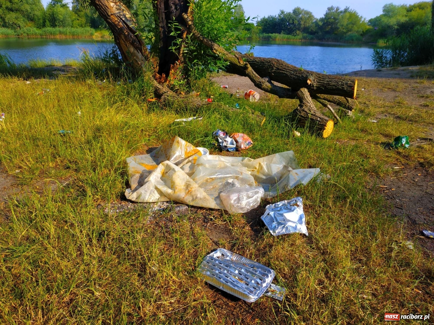 Zdjęcie w galerii na portalu naszraciborz.pl: Jeden wielki SYF. Żwirownia tonie w śmieciach [FOTO] wiadomości z regionu