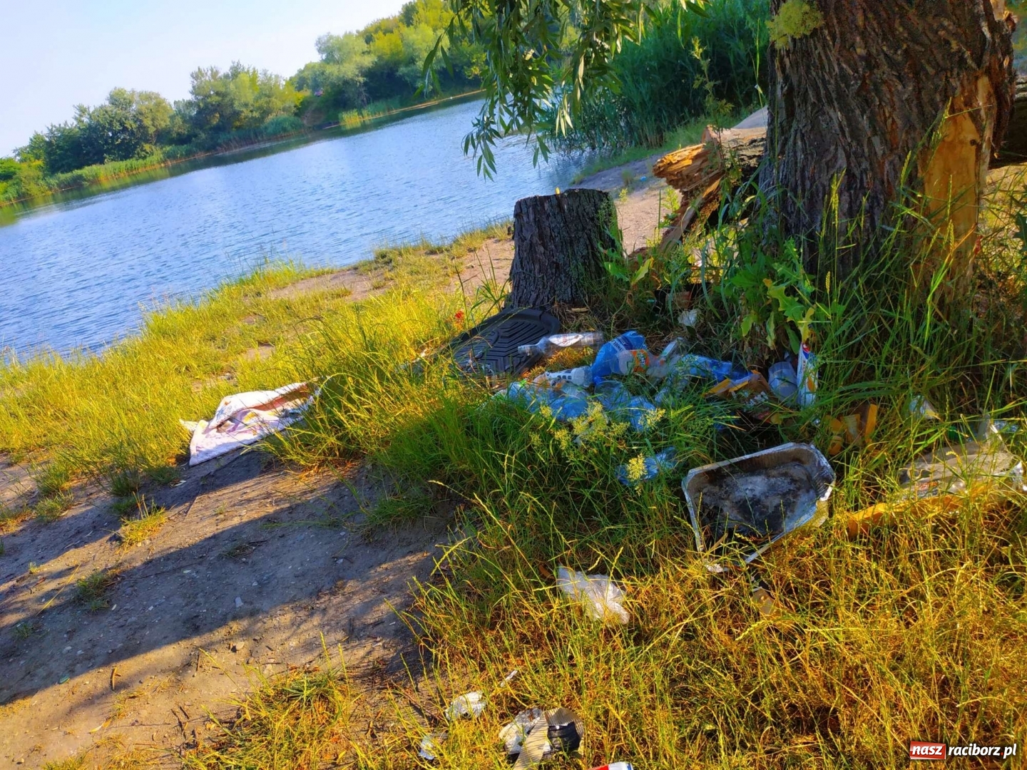 Zdjęcie w galerii na portalu naszraciborz.pl: Jeden wielki SYF. Żwirownia tonie w śmieciach [FOTO] wiadomości z regionu