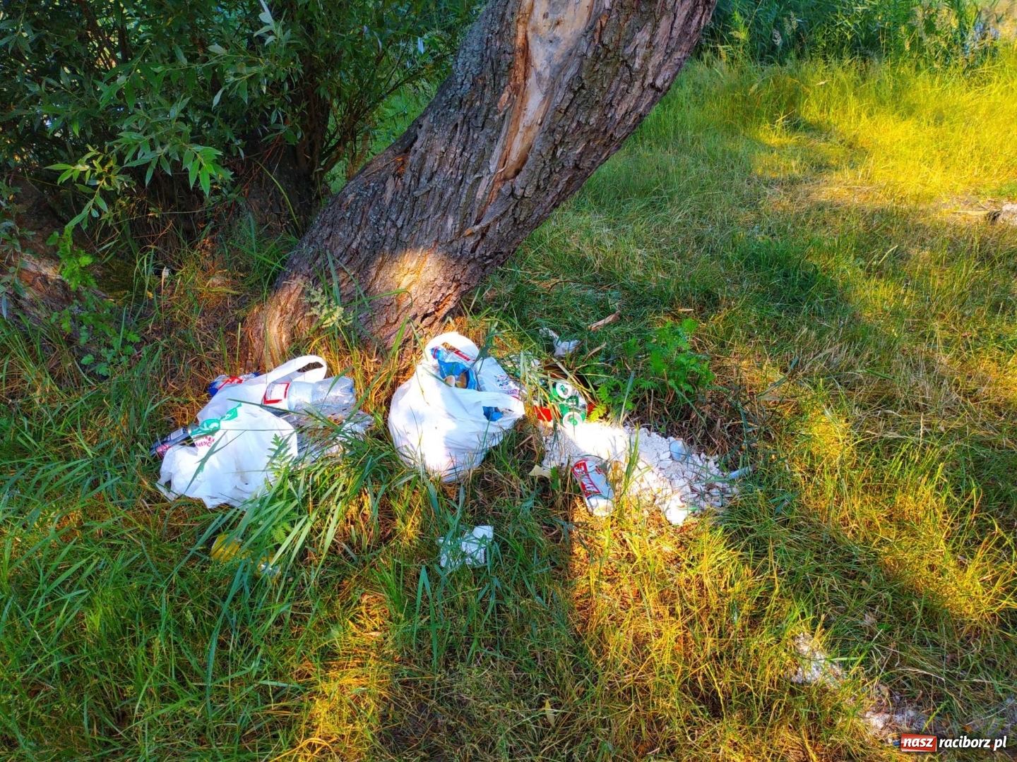 Zdjęcie w galerii na portalu naszraciborz.pl: Jeden wielki SYF. Żwirownia tonie w śmieciach [FOTO] wiadomości z regionu