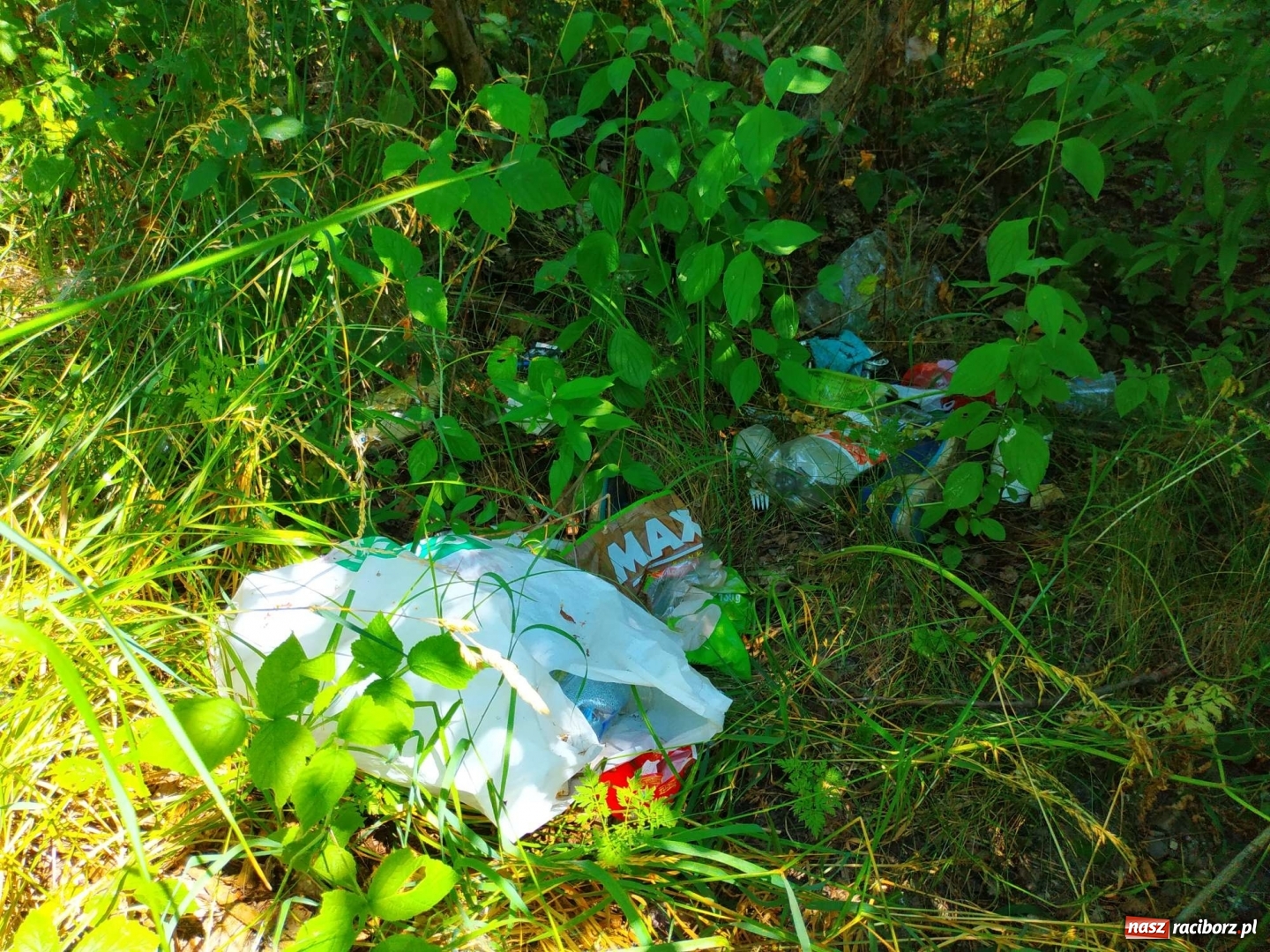 Zdjęcie w galerii na portalu naszraciborz.pl: Jeden wielki SYF. Żwirownia tonie w śmieciach [FOTO] wiadomości z regionu