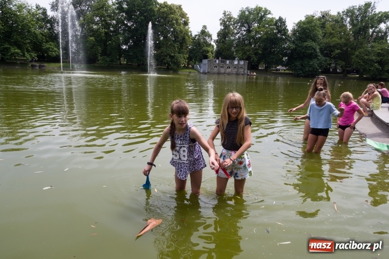 Zdjęcie w galerii na portalu naszraciborz.pl: Zaklęty łabędź. Tancerze z Polski i Czech zatańczą na stawie w parku Roth [FOTO] wiadomości z regionu