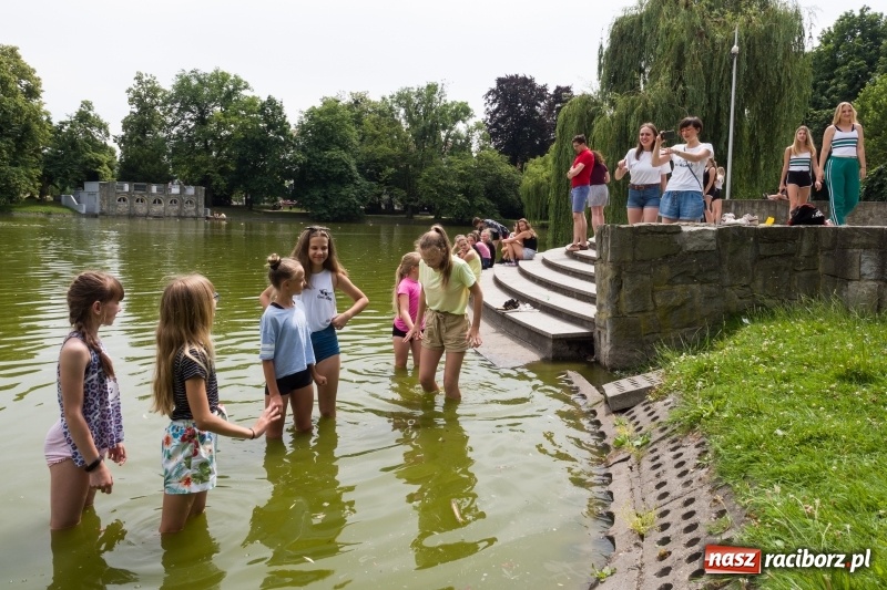 Zdjęcie w galerii na portalu naszraciborz.pl: Zaklęty łabędź. Tancerze z Polski i Czech zatańczą na stawie w parku Roth [FOTO] wiadomości z regionu
