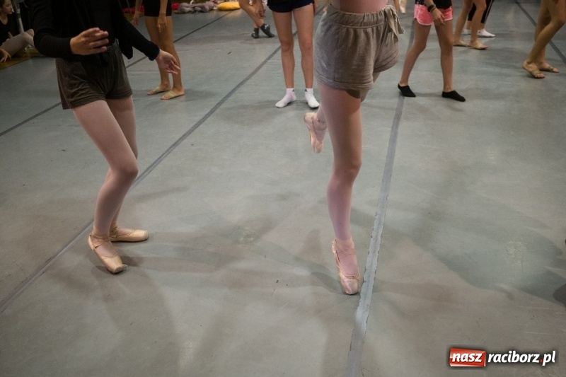 Zdjęcie w galerii na portalu naszraciborz.pl: Zaklęty łabędź. Tancerze z Polski i Czech zatańczą na stawie w parku Roth [FOTO] wiadomości z regionu