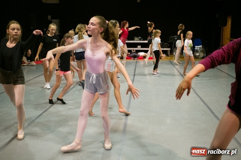 Zdjęcie w galerii na portalu naszraciborz.pl: Zaklęty łabędź. Tancerze z Polski i Czech zatańczą na stawie w parku Roth [FOTO] wiadomości z regionu