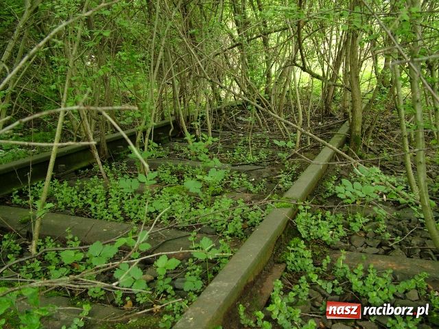 Zdjęcie w galerii na portalu naszraciborz.pl: Z aparatem przez gminę Krzanowice wiadomości z regionu