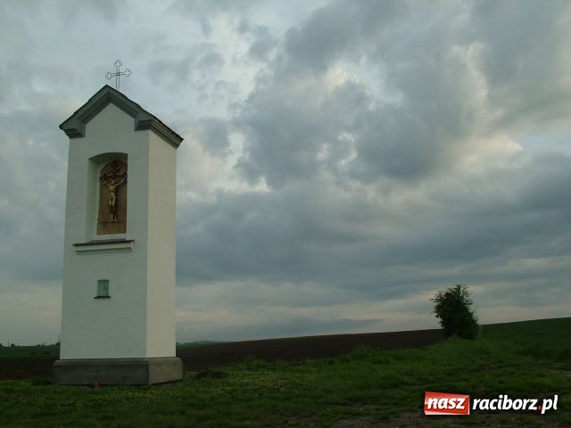 Zdjęcie w galerii na portalu naszraciborz.pl: Z aparatem przez gminę Krzanowice wiadomości z regionu