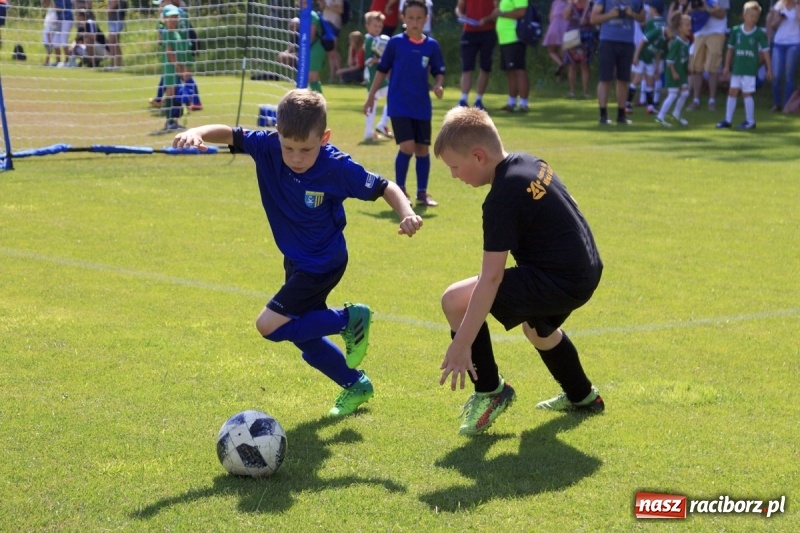 Zdjęcie w galerii na portalu naszraciborz.pl: Żacy Podokręgu Racibórz zagrali na Śląskim wiadomości z regionu