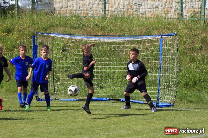 Zdjęcie w galerii na portalu naszraciborz.pl: Żacy Podokręgu Racibórz zagrali na Śląskim wiadomości z regionu