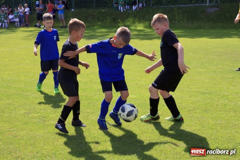 Zdjęcie w galerii na portalu naszraciborz.pl: Żacy Podokręgu Racibórz zagrali na Śląskim wiadomości z regionu