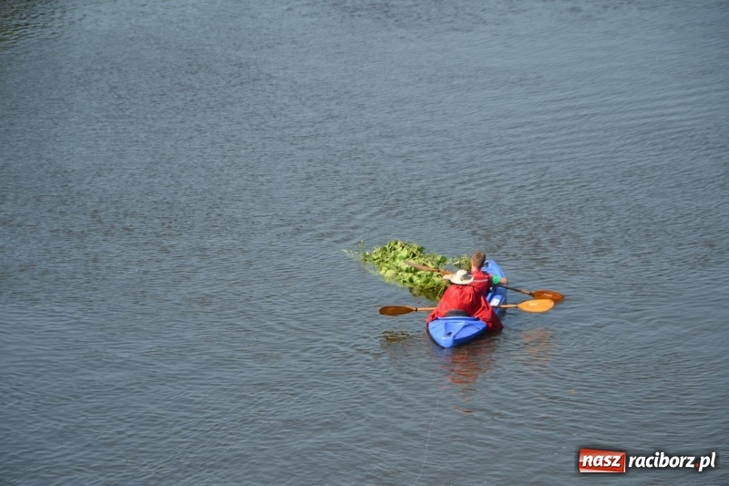 Zdjęcie w galerii na portalu naszraciborz.pl: Ludzie zaskoczeni tym, co zobaczyli na niebie [FOTO] wiadomości z regionu