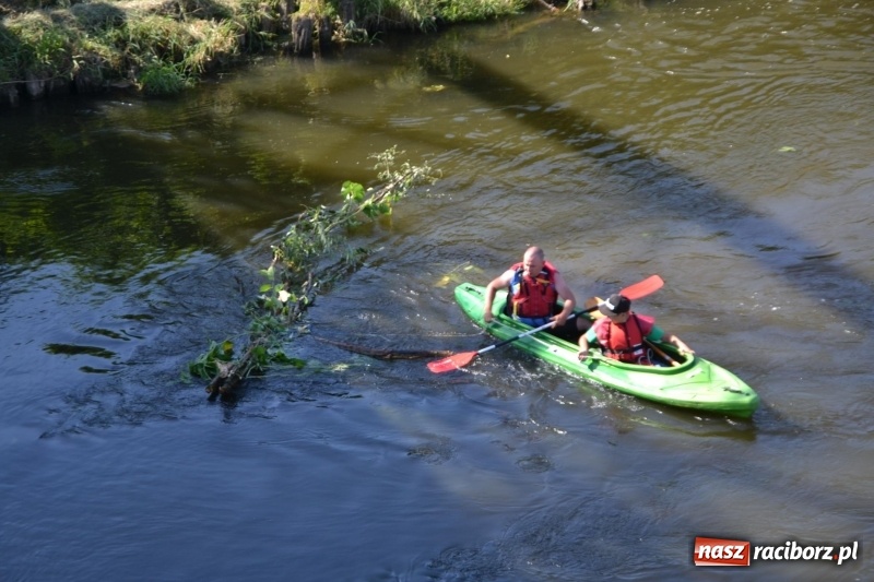 Zdjęcie w galerii na portalu naszraciborz.pl: Ludzie zaskoczeni tym, co zobaczyli na niebie [FOTO] wiadomości z regionu