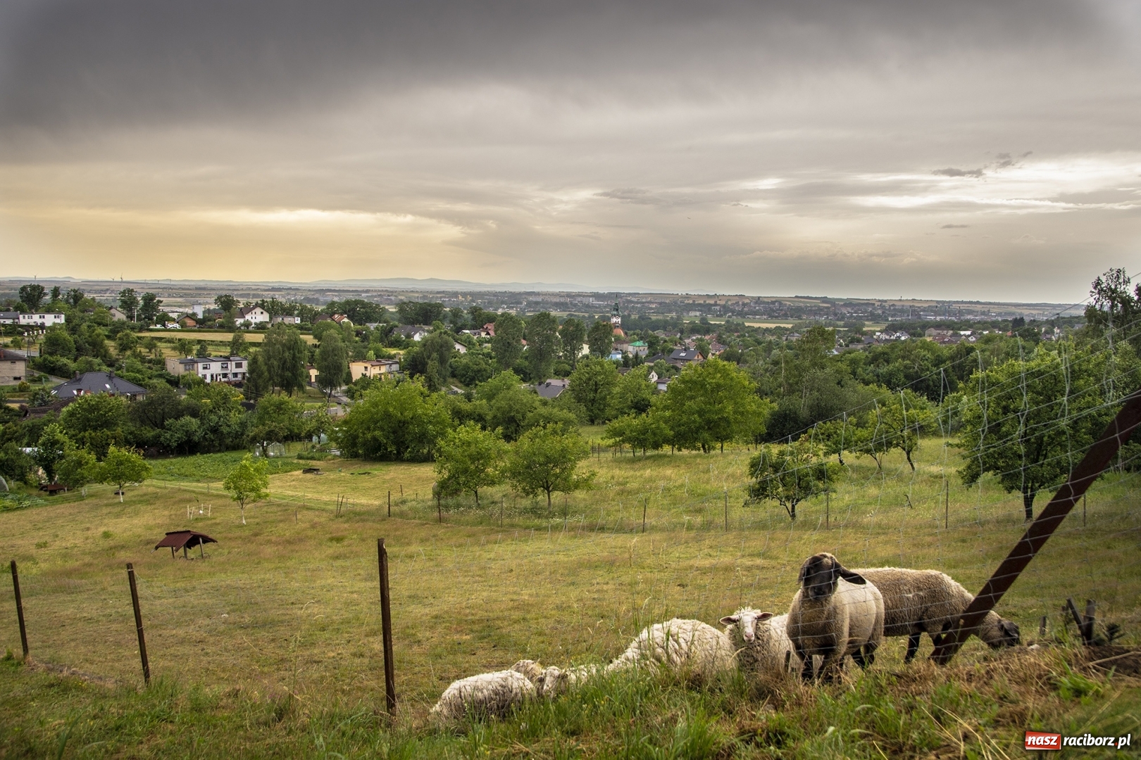 Zdjęcie w galerii na portalu naszraciborz.pl: Front burzowy nad ziemią raciborską [FOTO] wiadomości z regionu